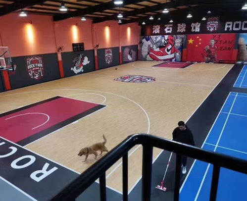 篮球悬浮地板厂家推荐 英特瑞体育用品 篮球悬浮地板厂家